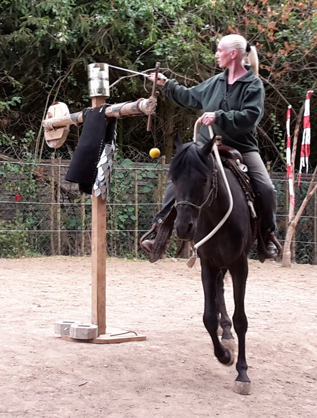 Pferd Sary 1 übt mit Yvette Schwertraining